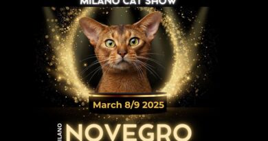 Ritorna attesissimo il Milano Cat Show – Novegro 8 e 9 marzo.